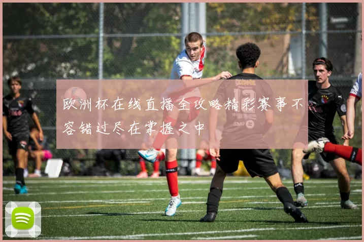欧洲杯在线直播全攻略精彩赛事不容错过尽在掌握之中