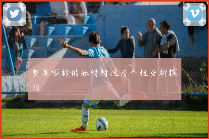 坚果哑铃的独特特性与个性分析探讨
